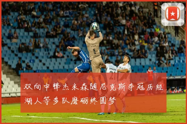 双向中锋杰米森随尼克斯夺冠历经湖人等多队磨砺终圆梦
